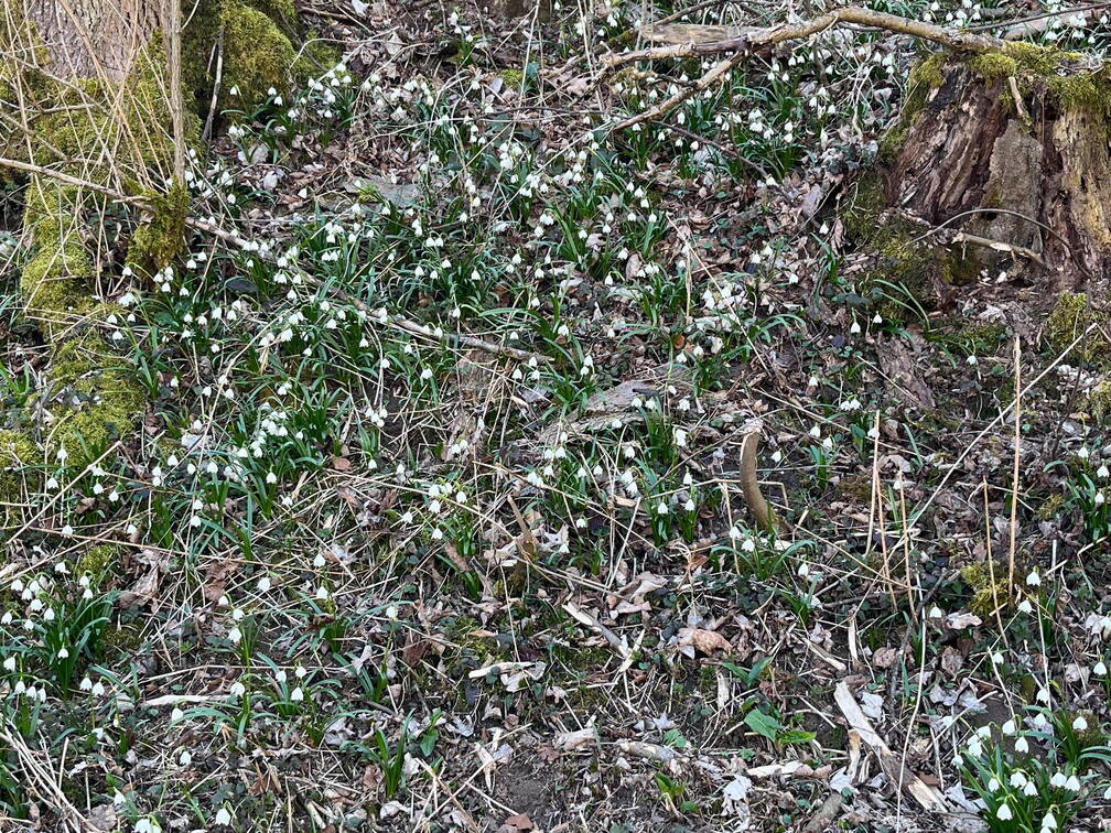 25-03-22 15-00-08 2535